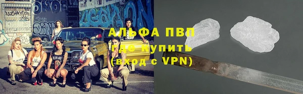 индика Балахна