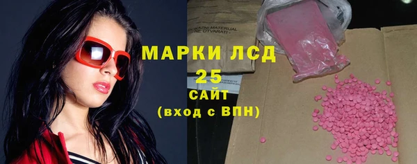 индика Балахна