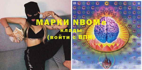 индика Балахна