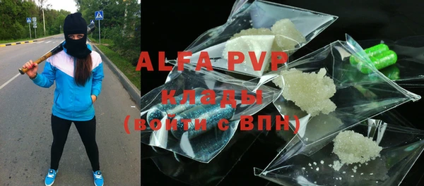 индика Балахна