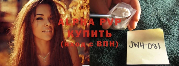 индика Балахна