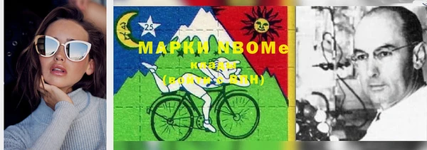 индика Балахна